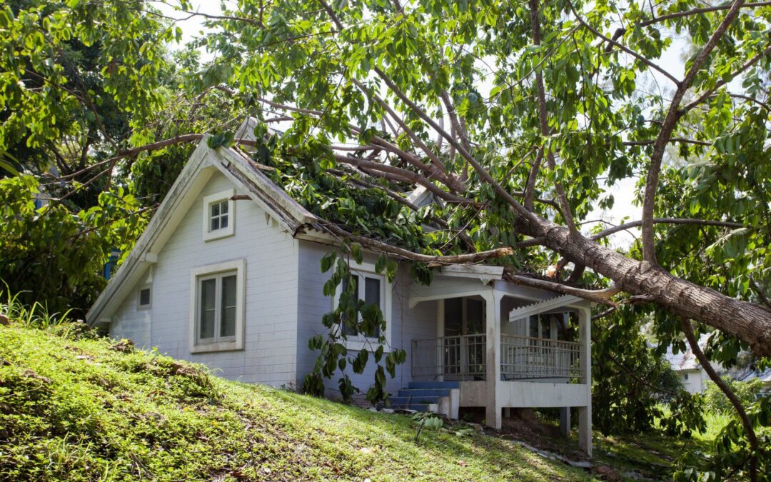 How to Check Your Roof for Damage After a Storm